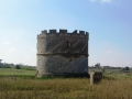 Carpignano Torre colombaia 800x600